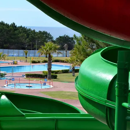 Santos & Belos * 나자레