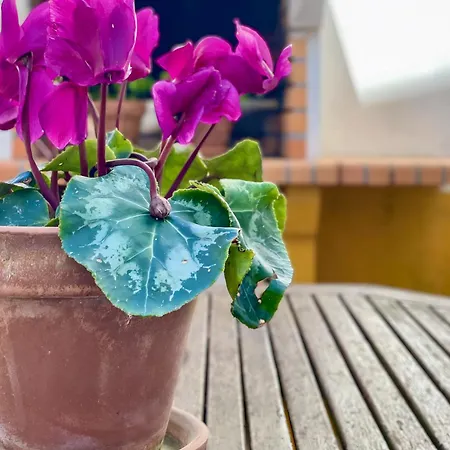 Holiday home Santos & Belos